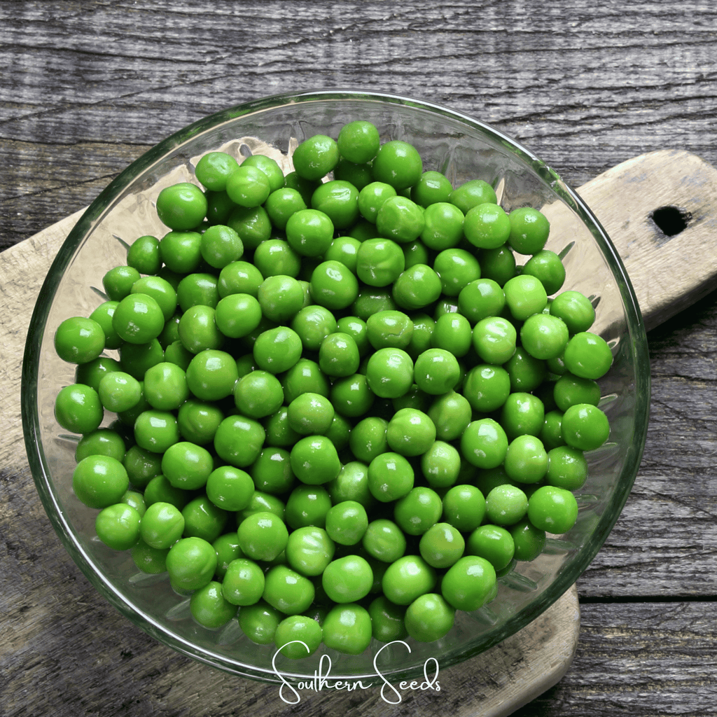 Early Frosty Peas – 25 Seeds Southern Seeds