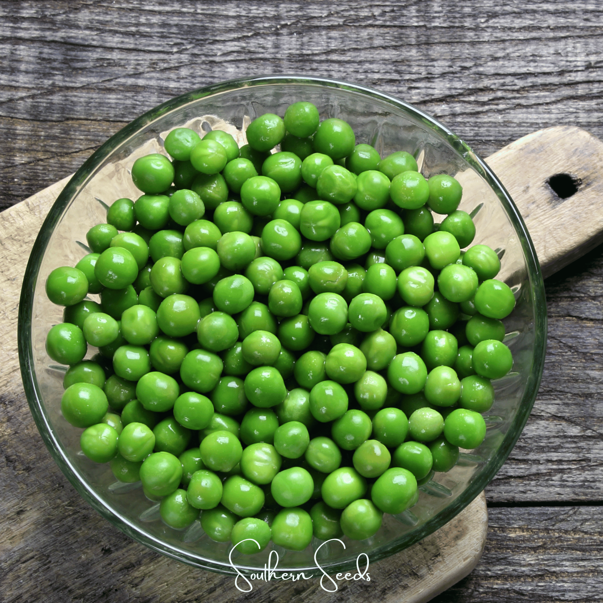 Early Frosty Peas – 25 Seeds Southern Seeds