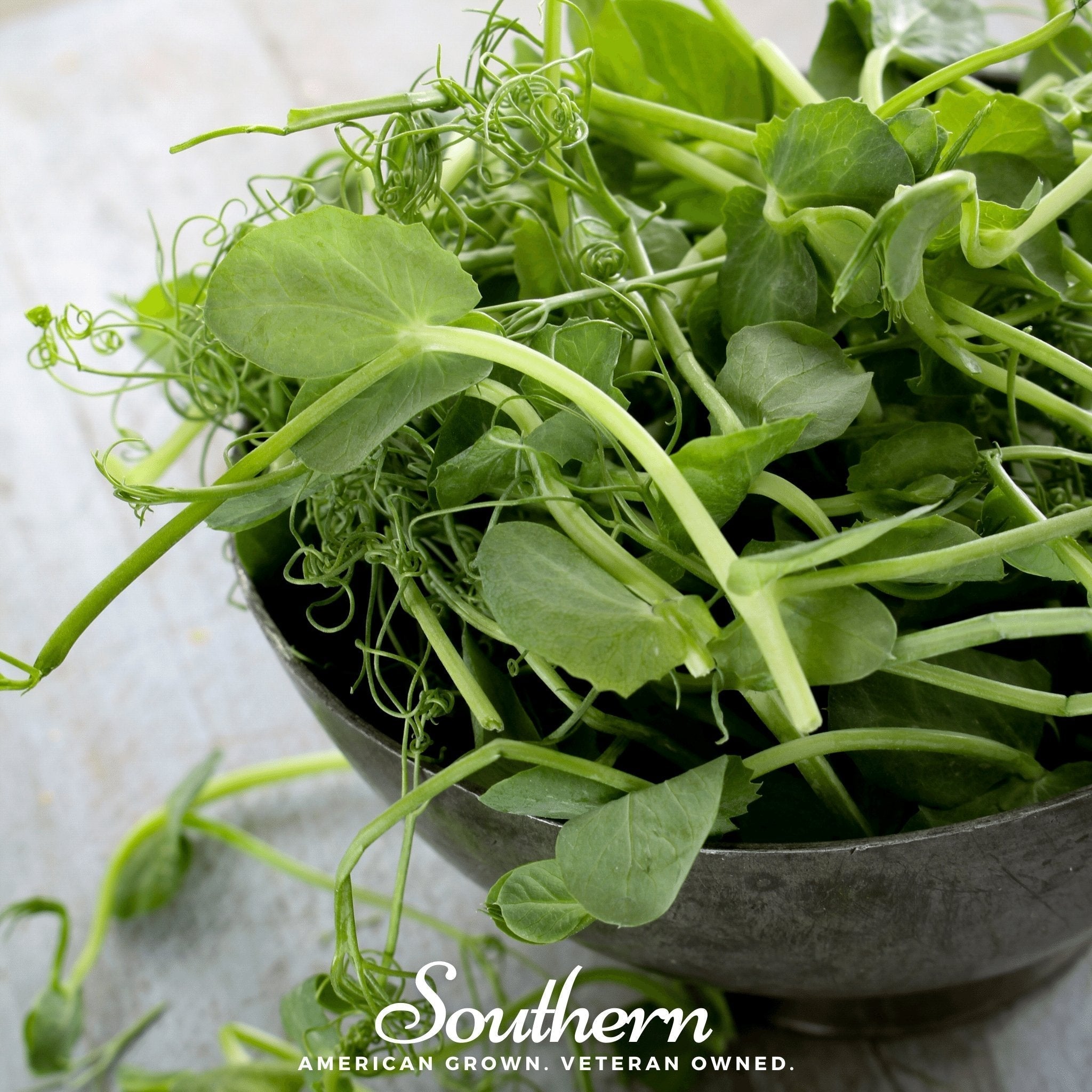 Field Shoots Peas – 100 Seeds Southern Seeds