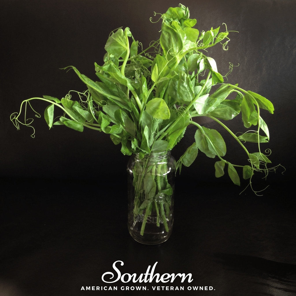 Field Shoots Peas – 100 Seeds Southern Seeds