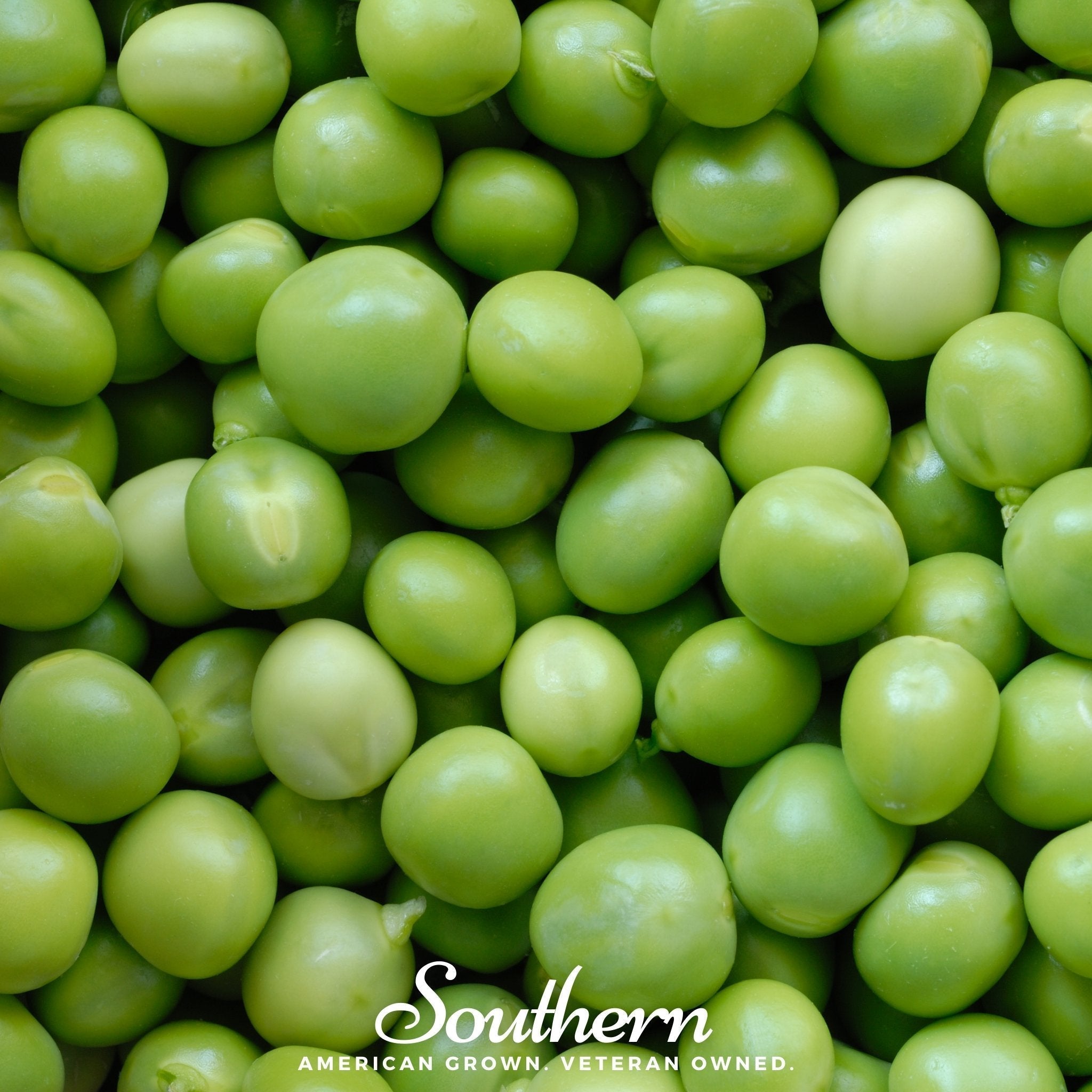 Green Arrow Peas – 25 Seeds Southern Seeds