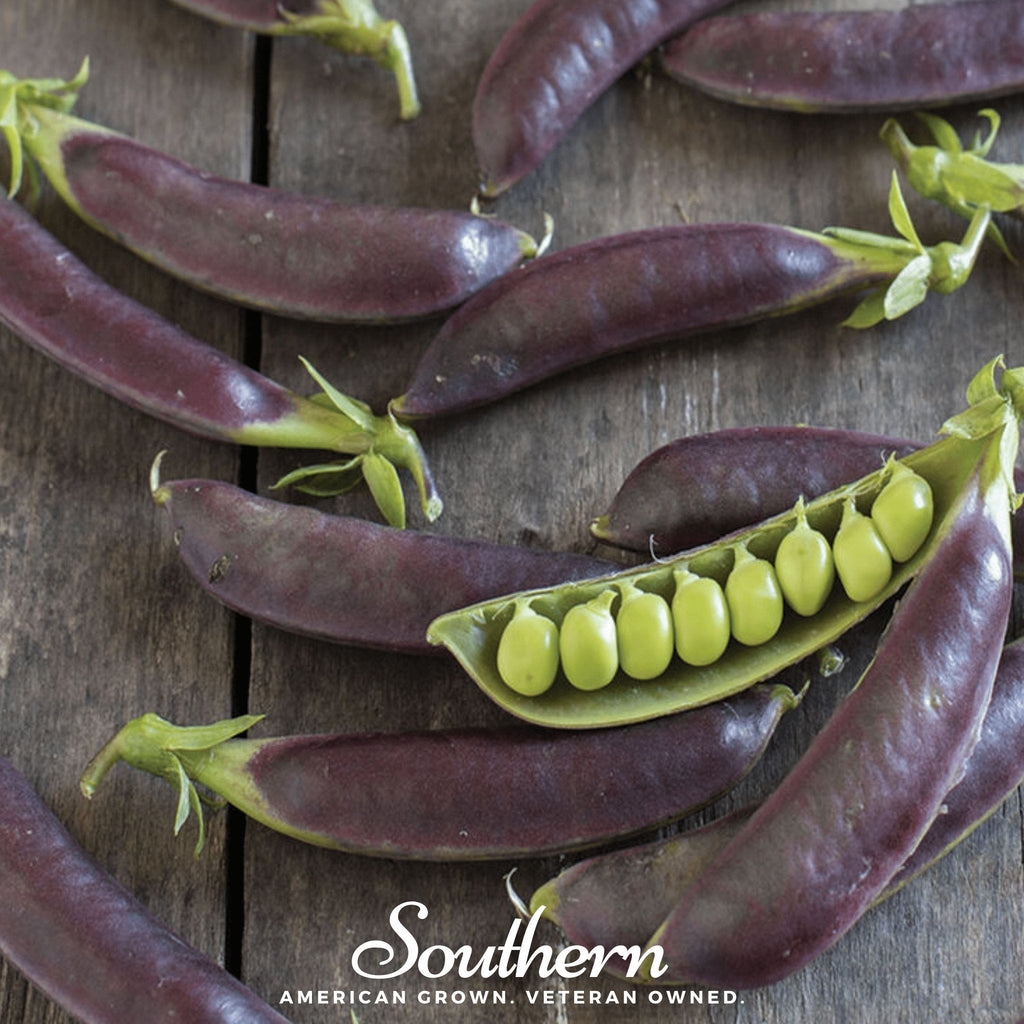 Royal Snap II Peas – 20 Seeds Southern Seeds