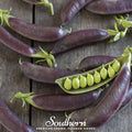 Royal Snap II Peas – 20 Seeds Southern Seeds
