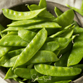 Oregon Sugar II Snow Peas – 25 Seeds Southern Seeds