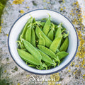 Sugar Daddy Peas – 20 Seeds Southern Seeds