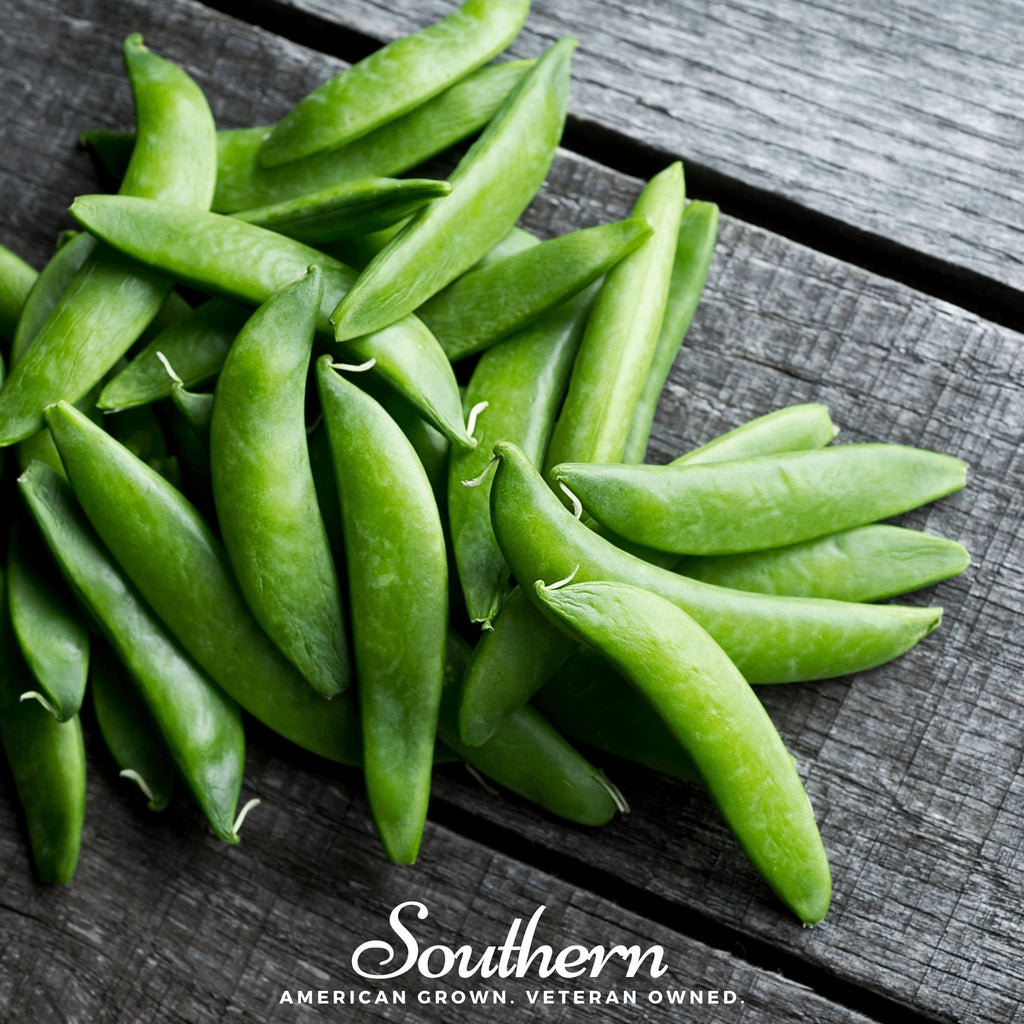Sugar Daddy Peas – 20 Seeds Southern Seeds