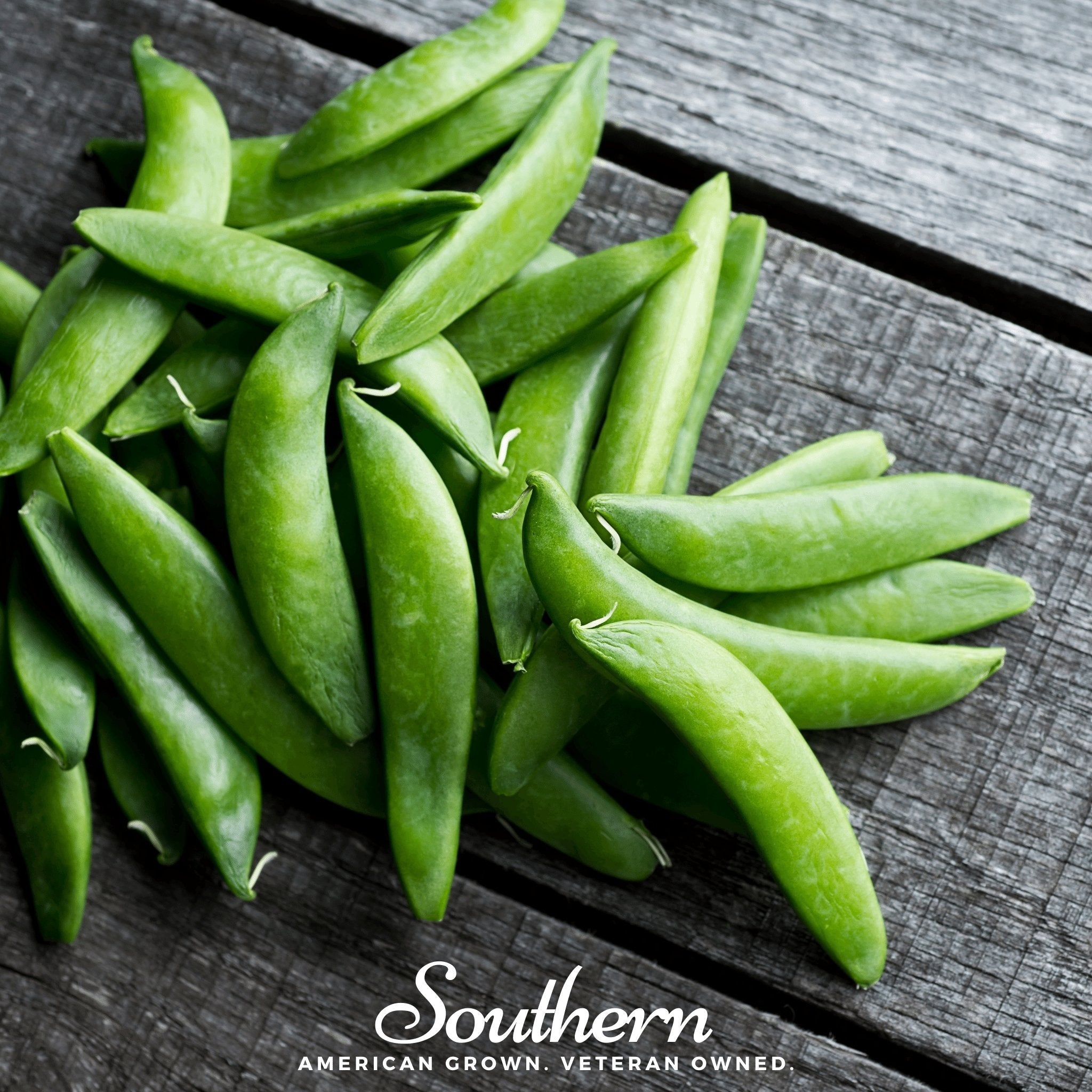 Sugar Daddy Peas – 20 Seeds Southern Seeds