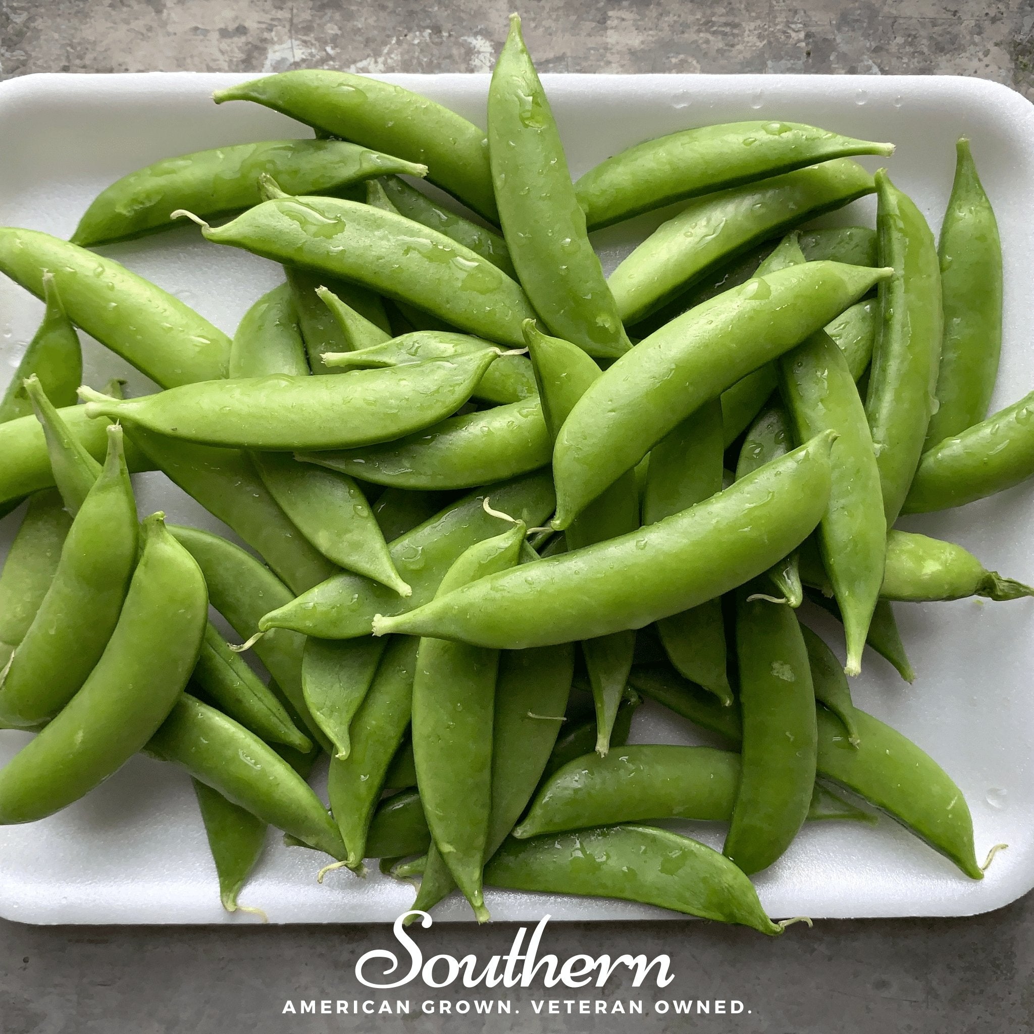 Sugar Snap Peas – 20 Seeds Southern Seeds