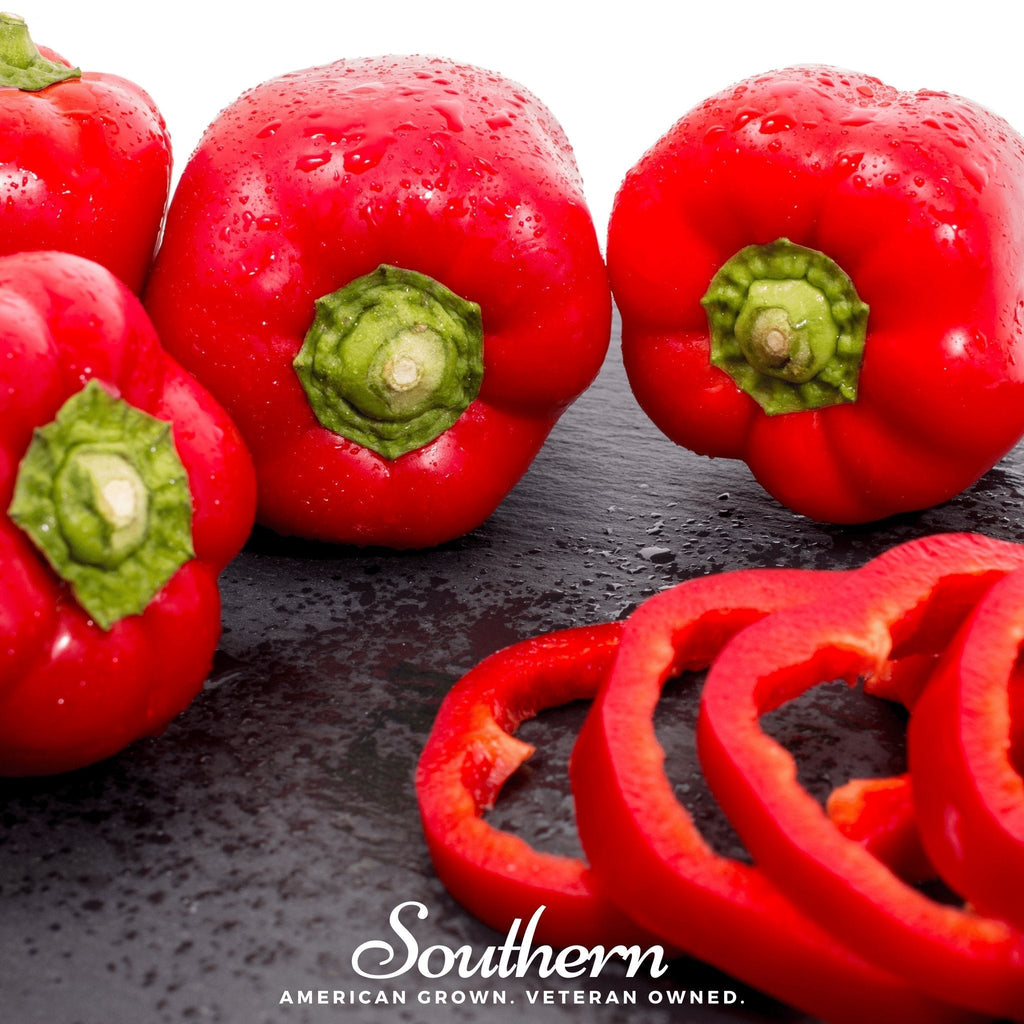 Big Red Sweet Bell Pepper – 30 Seeds Southern Seeds