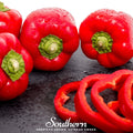 Big Red Sweet Bell Pepper – 30 Seeds Southern Seeds