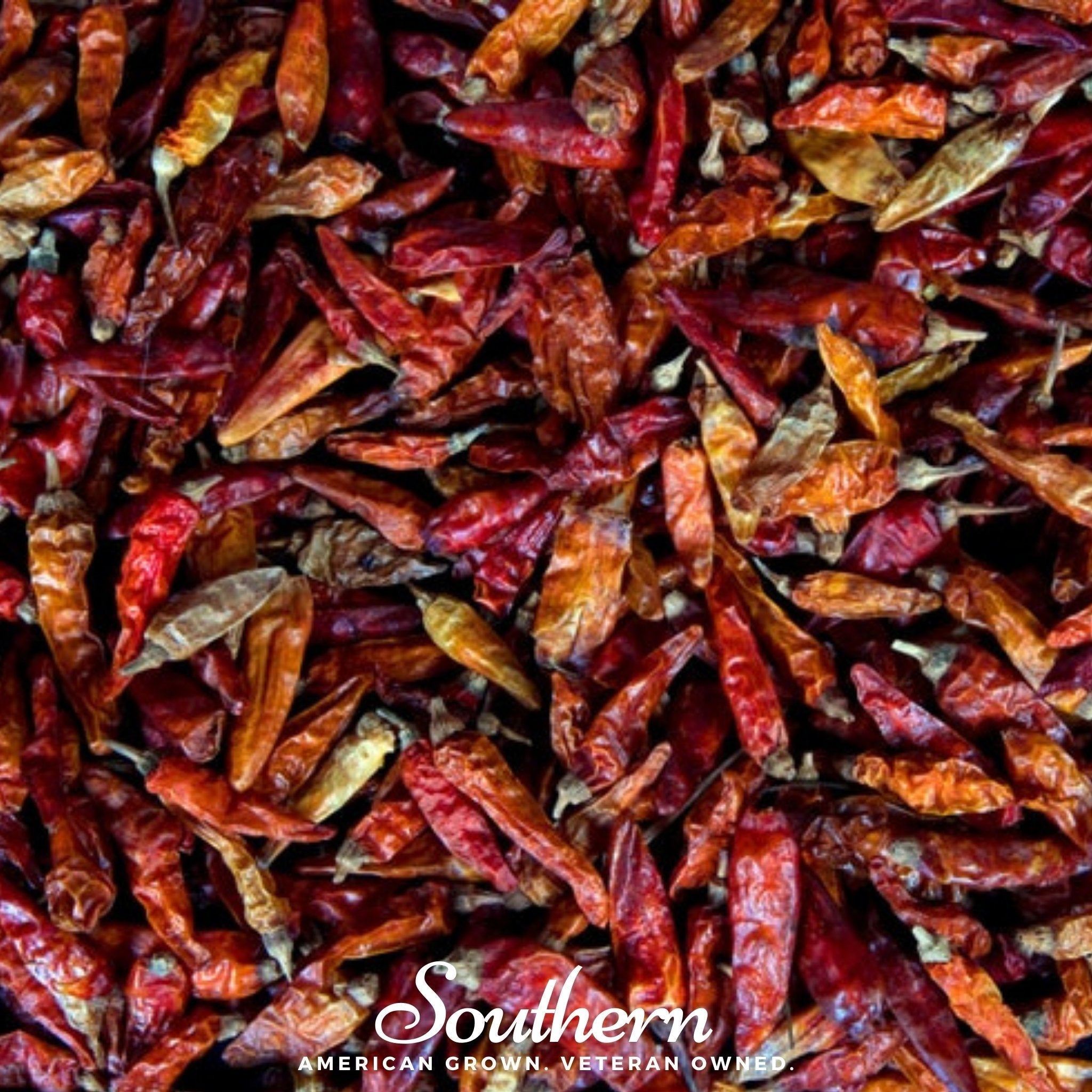 Birds Eye Chili Pepper – 30 Seeds Southern Seeds
