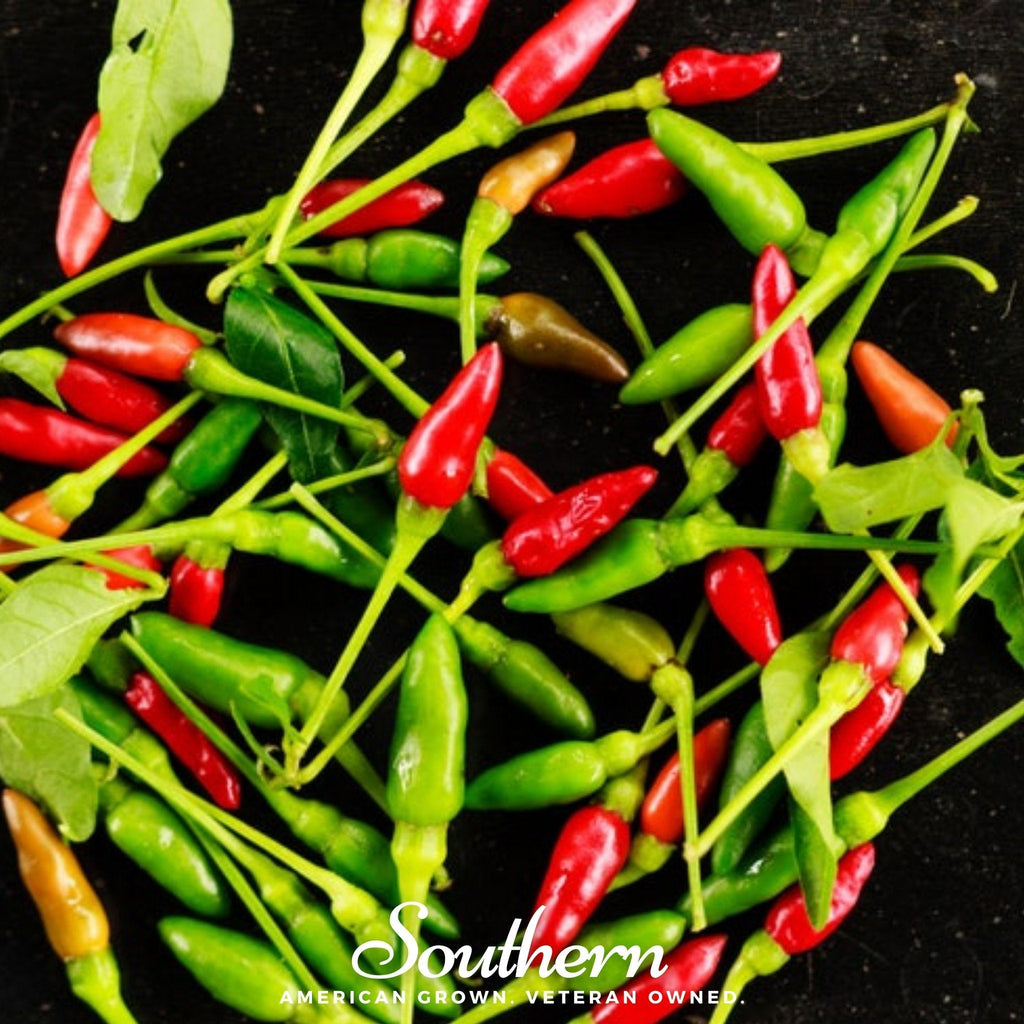 Birds Eye Chili Pepper – 30 Seeds Southern Seeds