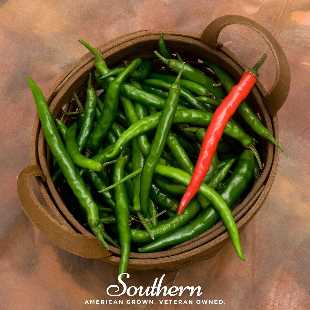 Cayenne Long Slim Pepper – 30 Seeds Southern Seeds