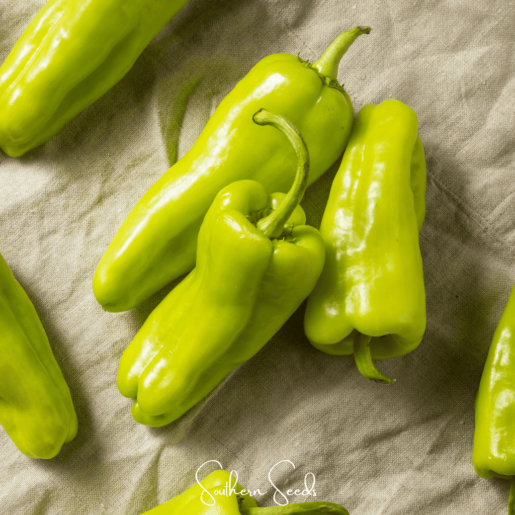 Cubanelle Sweet Pepper – 25 Seeds Southern Seeds