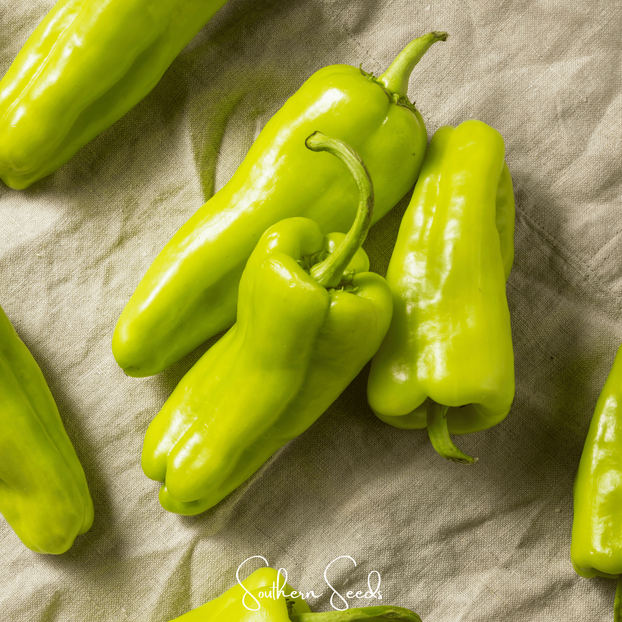 Cubanelle Sweet Pepper – 25 Seeds Southern Seeds