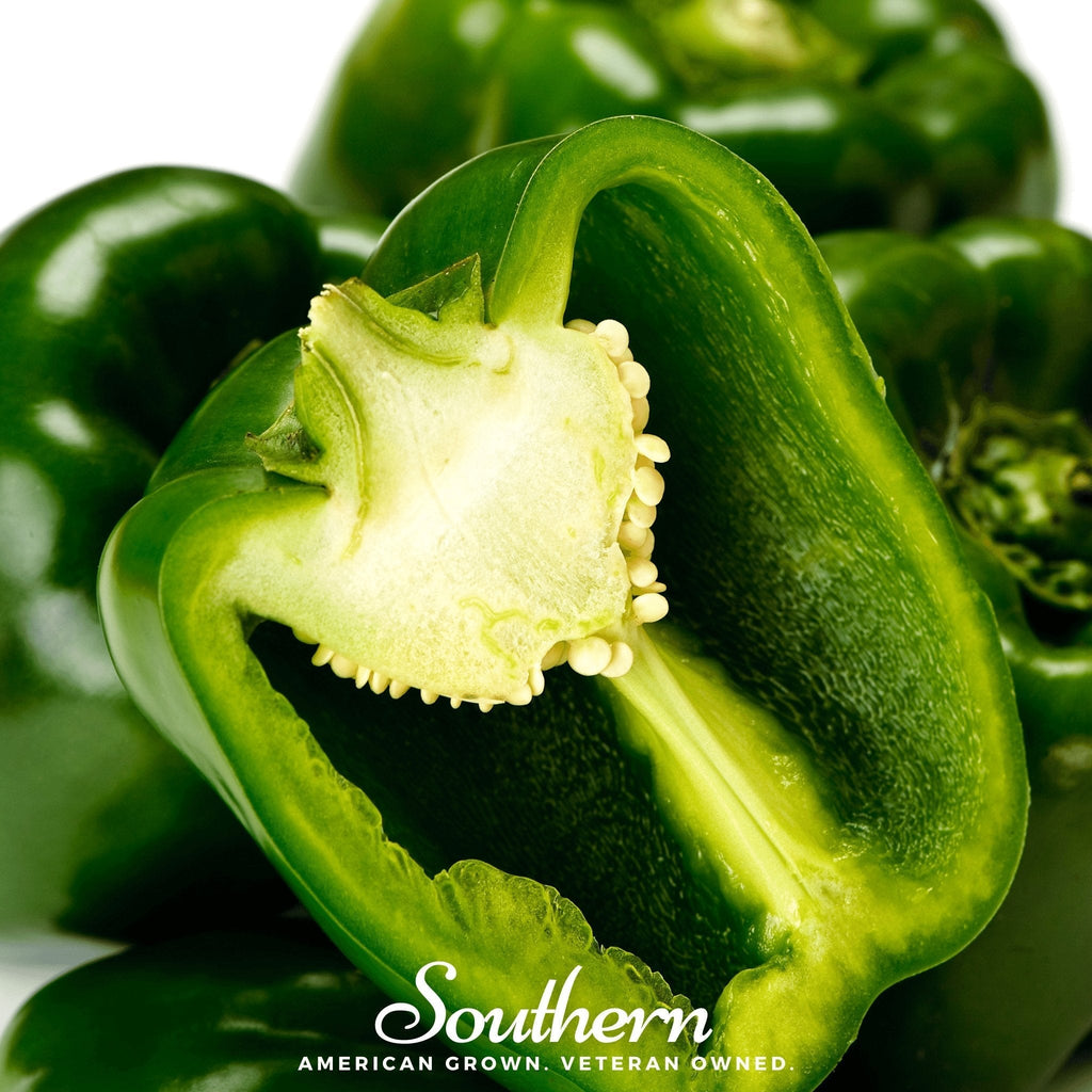 Emerald Giant Sweet Bell Pepper – 30 Seeds Southern Seeds