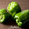 Emerald Giant Sweet Bell Pepper – 30 Seeds Southern Seeds