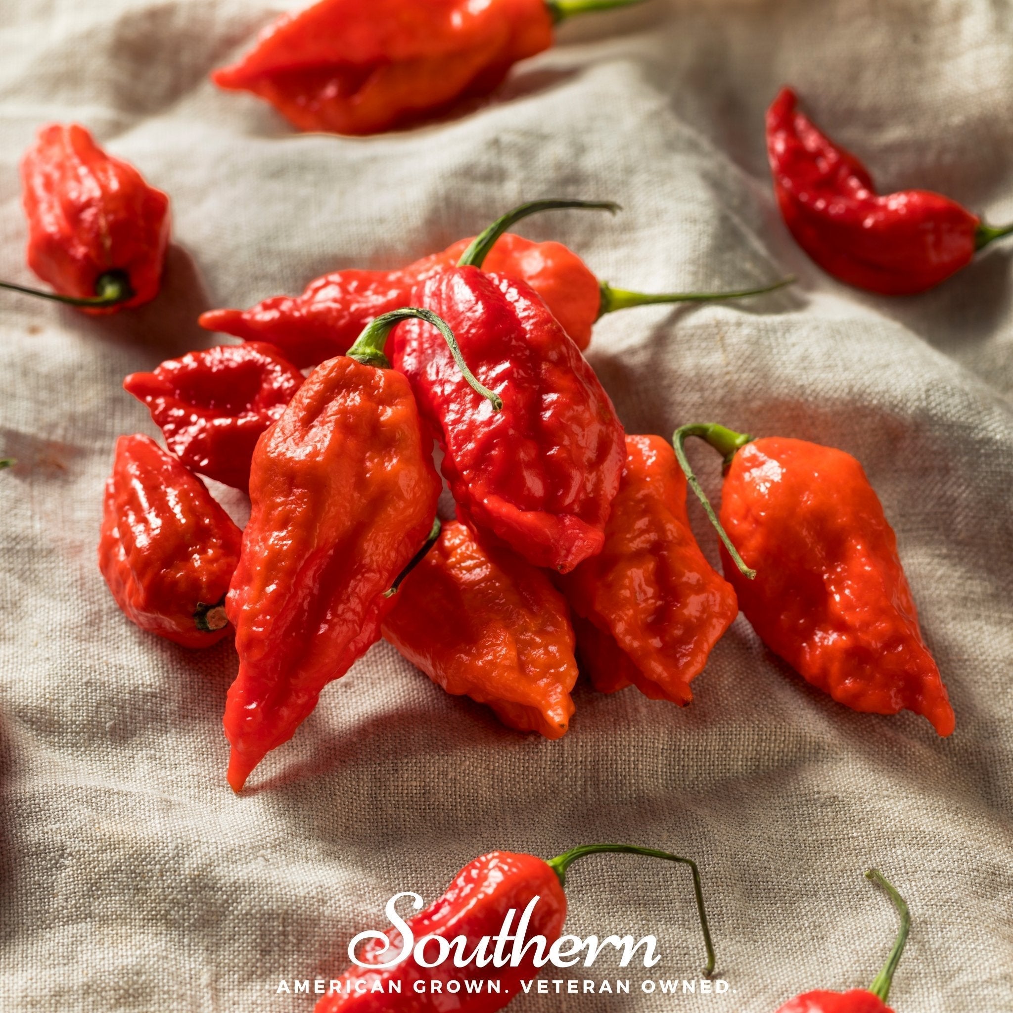 Ghost Pepper – Red Bhut Jolokia – 25 Seeds Southern Seeds
