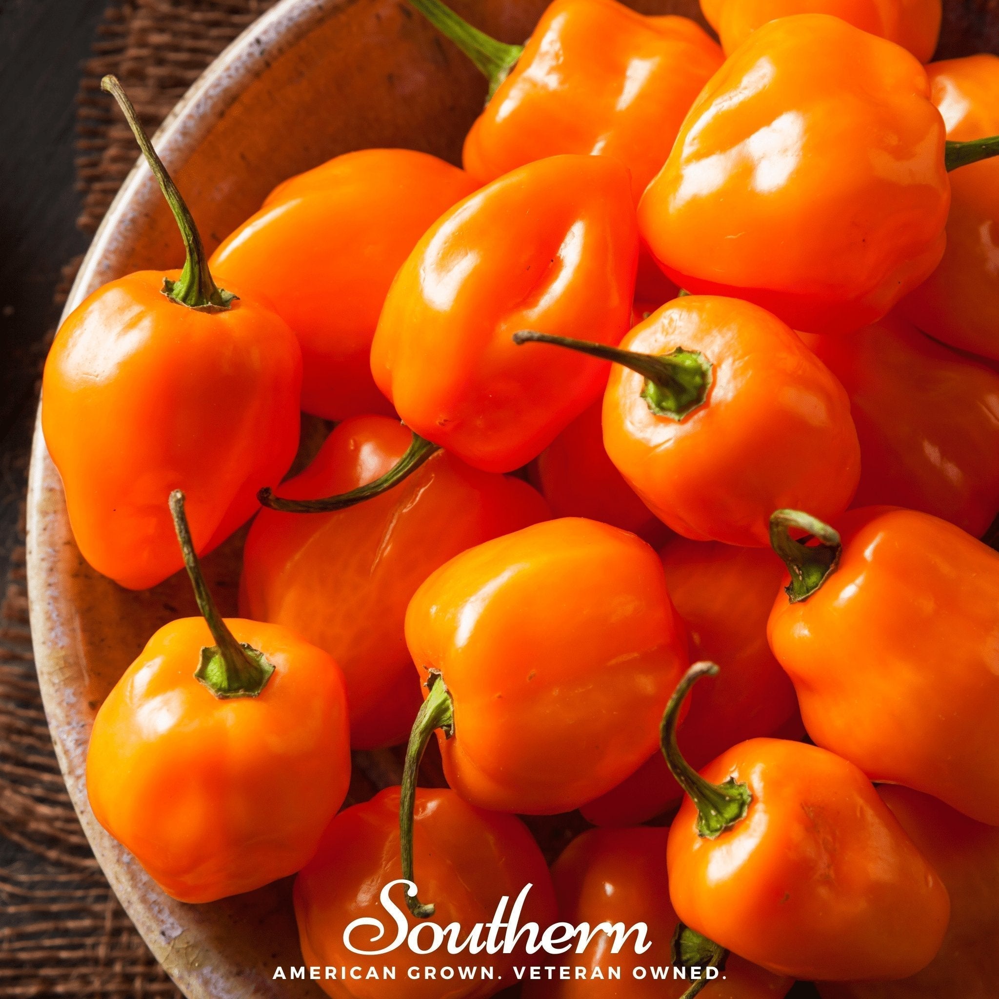 Orange Habanero Pepper – 30 Seeds Southern Seeds