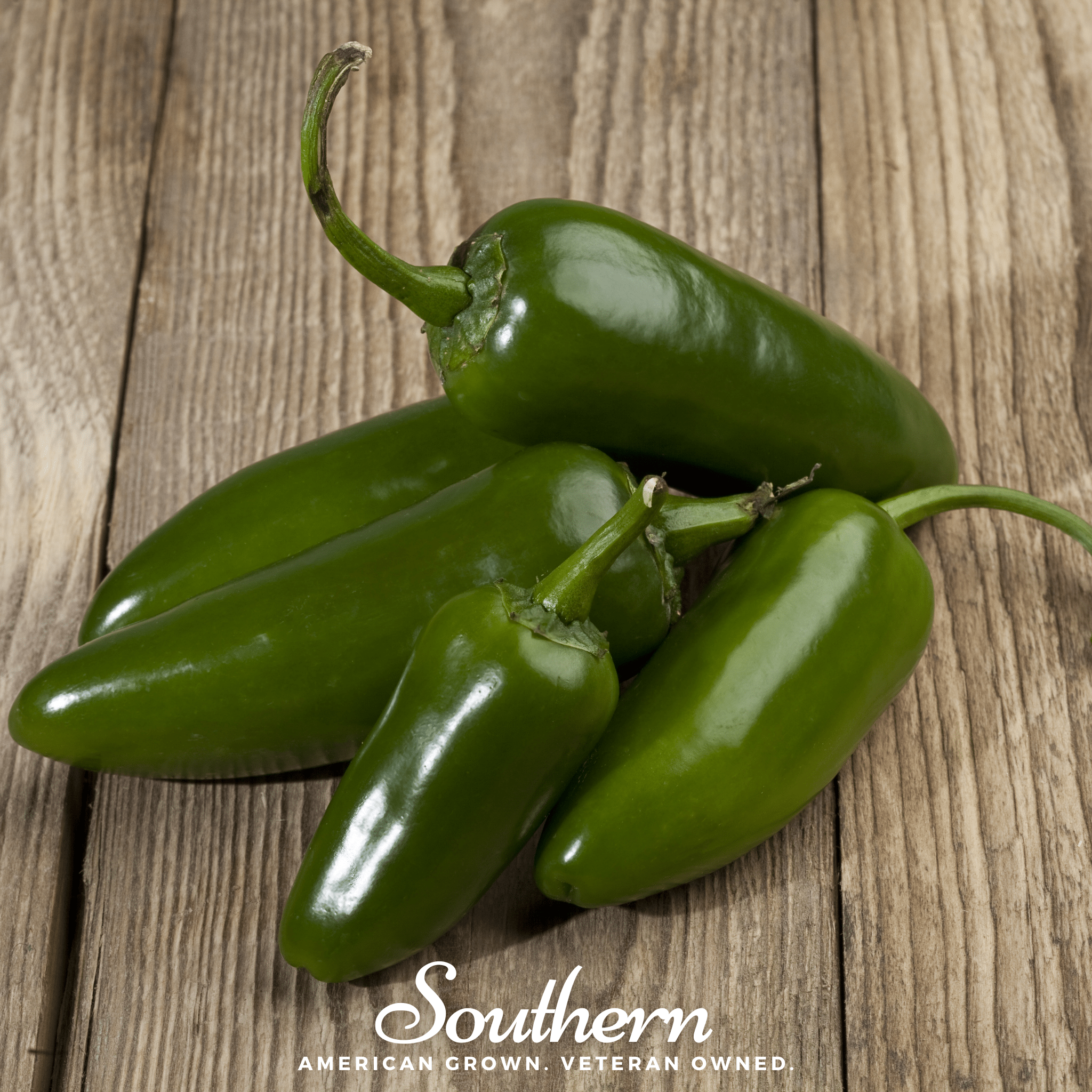 Jalapeño Early Pepper – 25 Seeds Southern Seeds