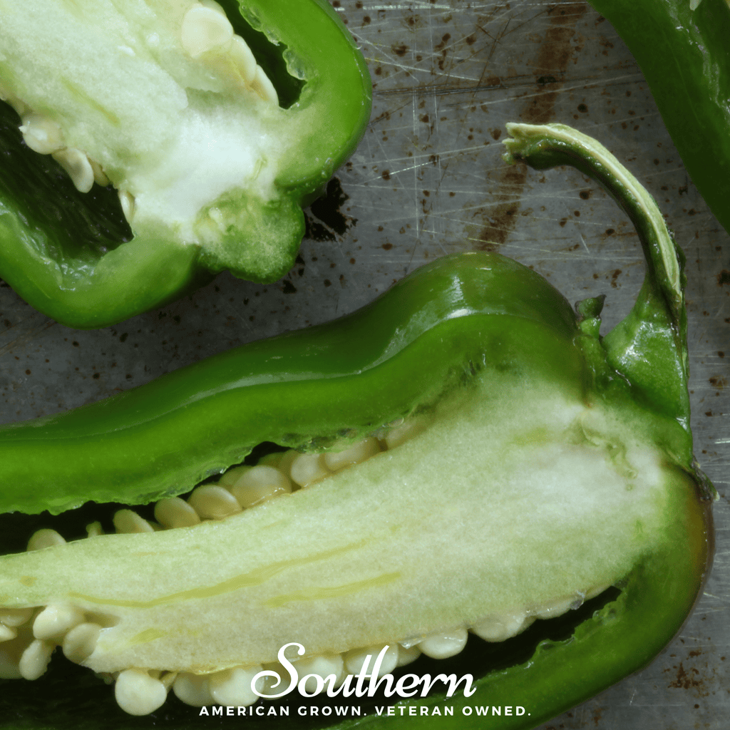 Jalapeño Early Pepper – 25 Seeds Southern Seeds