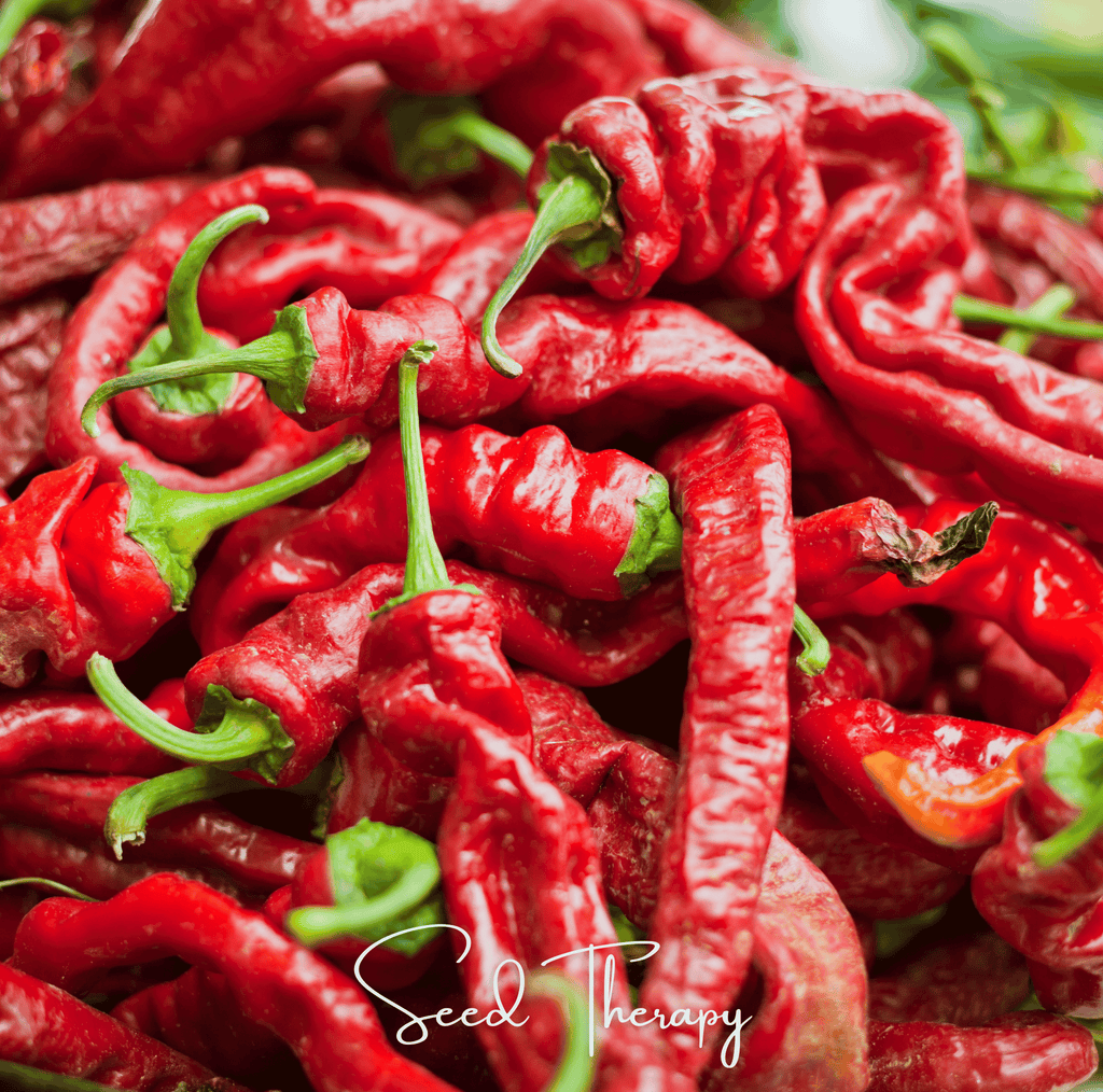 Jimmy Nardello's Pepper – 25 Seeds Southern Seeds