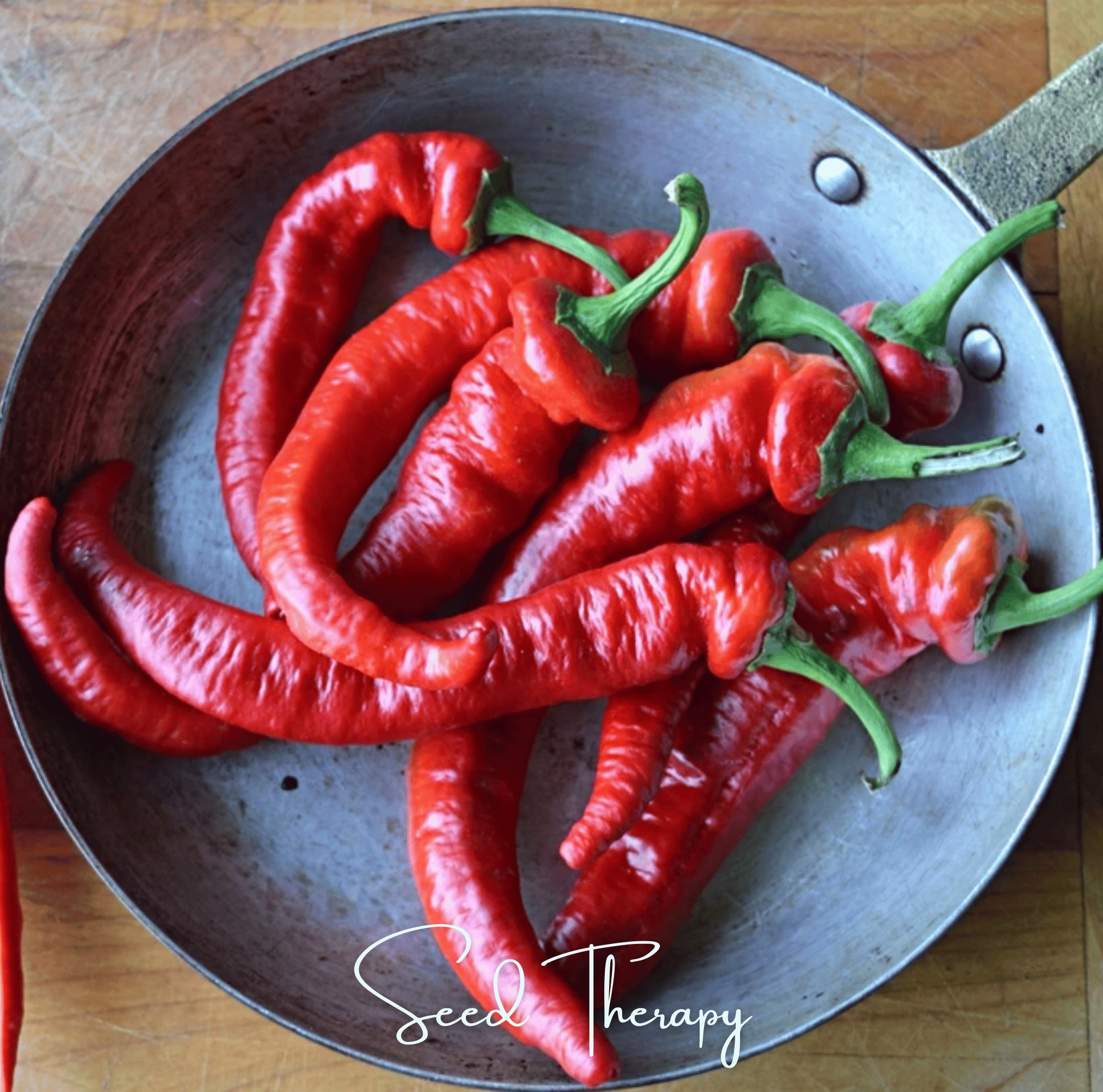 Jimmy Nardello's Pepper – 25 Seeds Southern Seeds