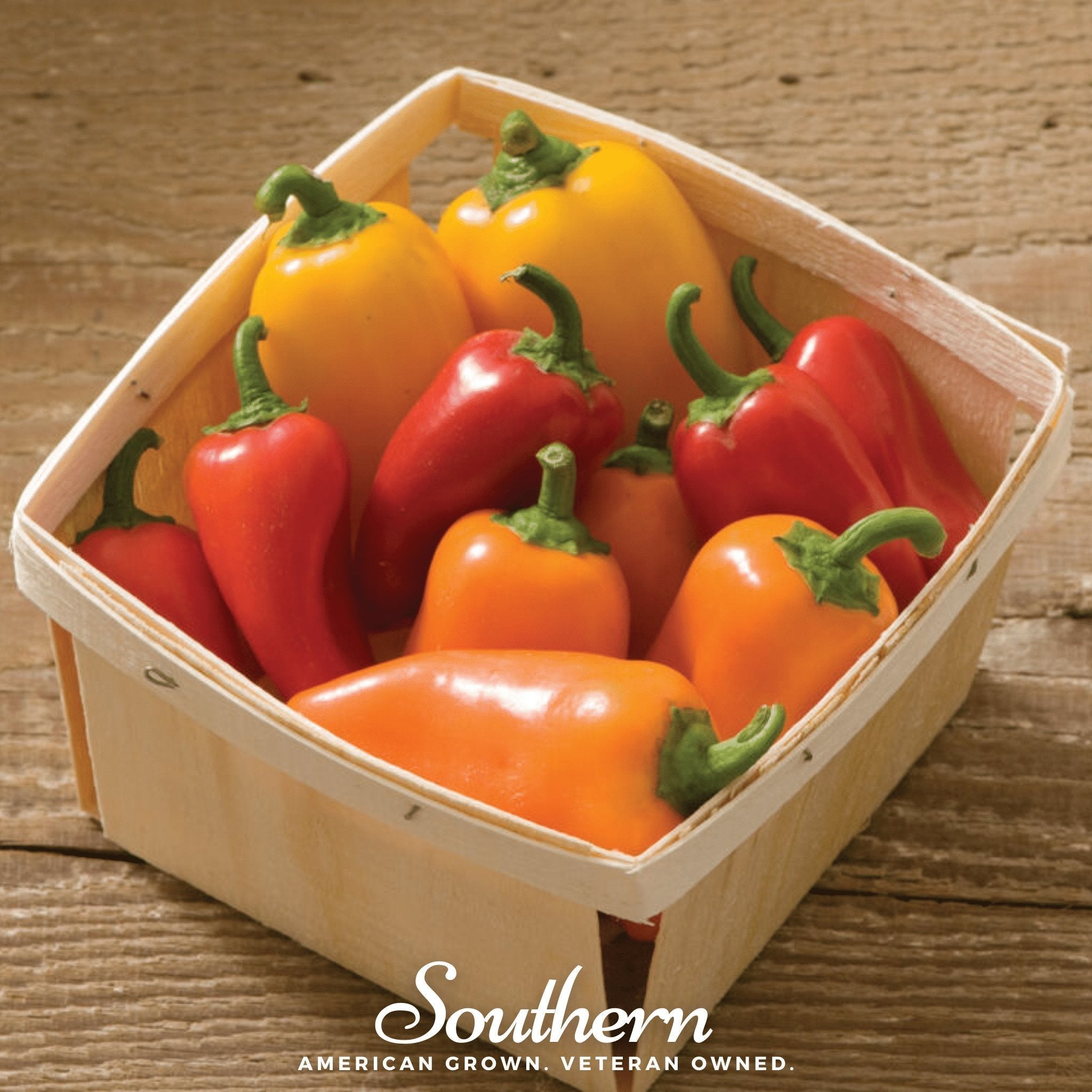 Lunchbox Sweet Pepper – 25 Seeds Southern Seeds