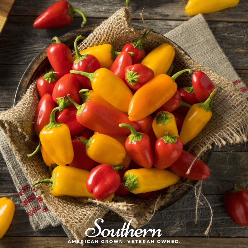 Lunchbox Sweet Pepper – 25 Seeds Southern Seeds