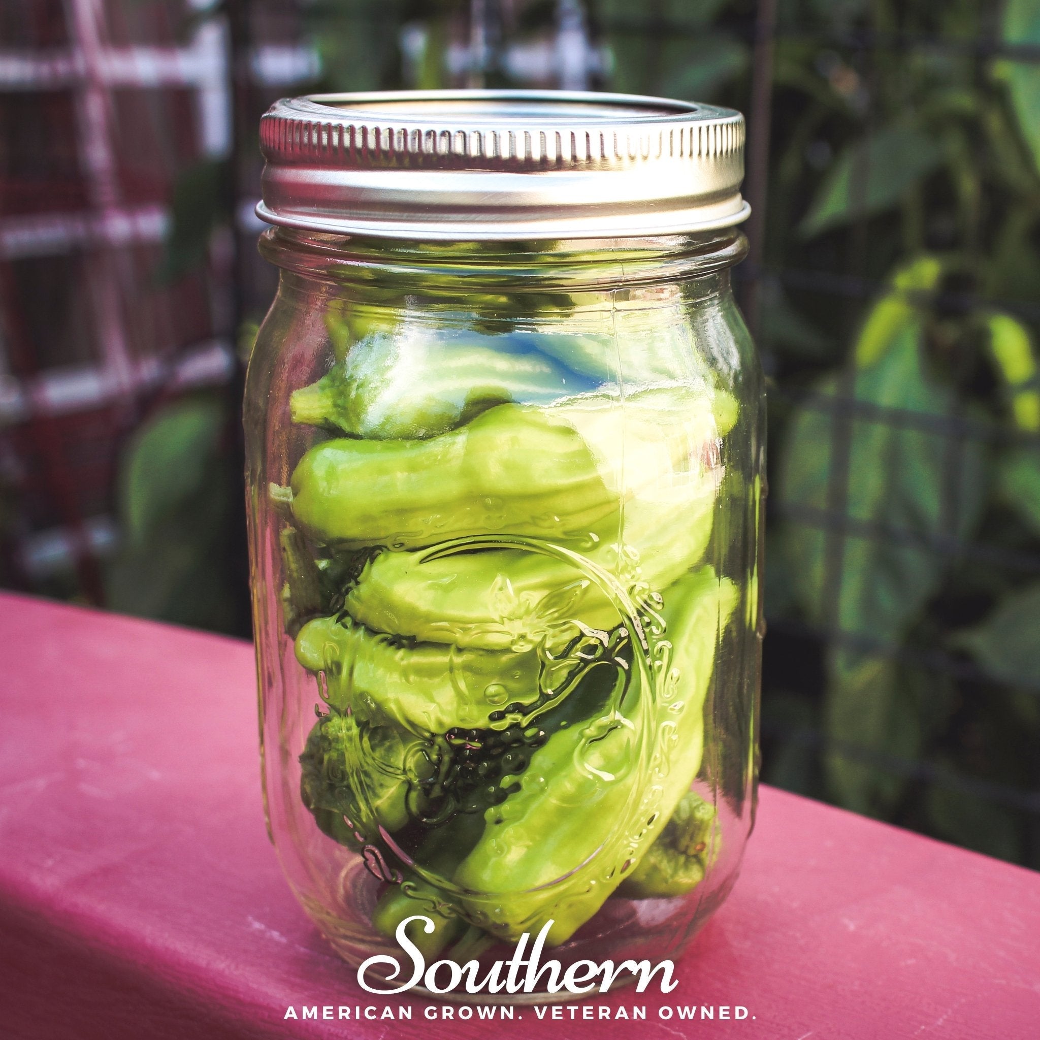 Pepperoncini Pepper – 25 Seeds Southern Seeds
