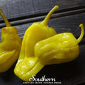 Pepperoncini Pepper – 25 Seeds Southern Seeds