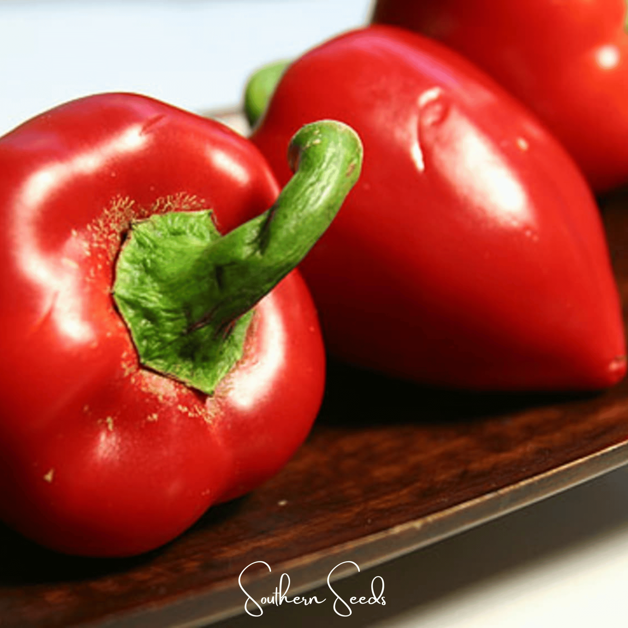Pimento Sweet Pepper – 25 Seeds Southern Seeds