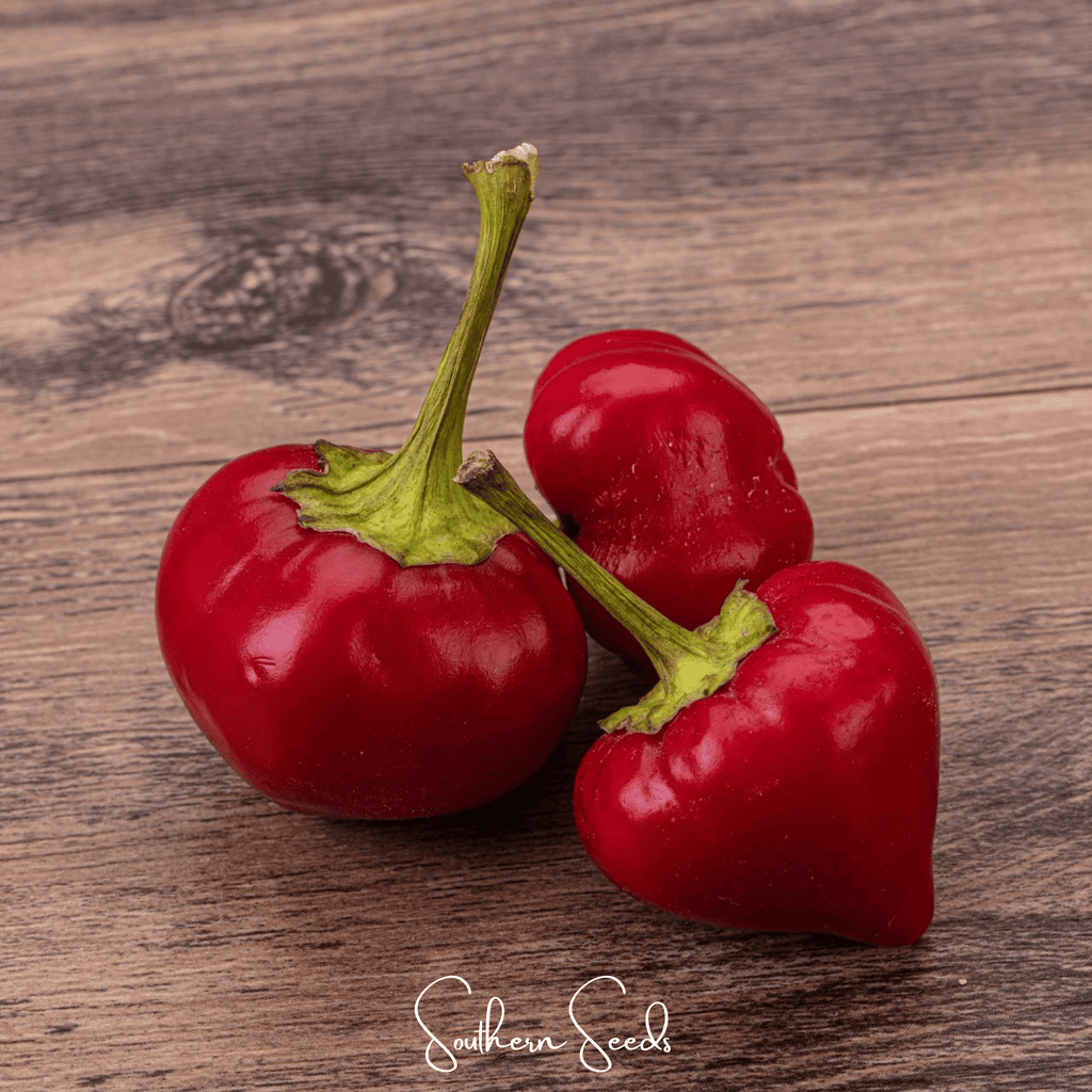 Pimento Sweet Pepper – 25 Seeds Southern Seeds