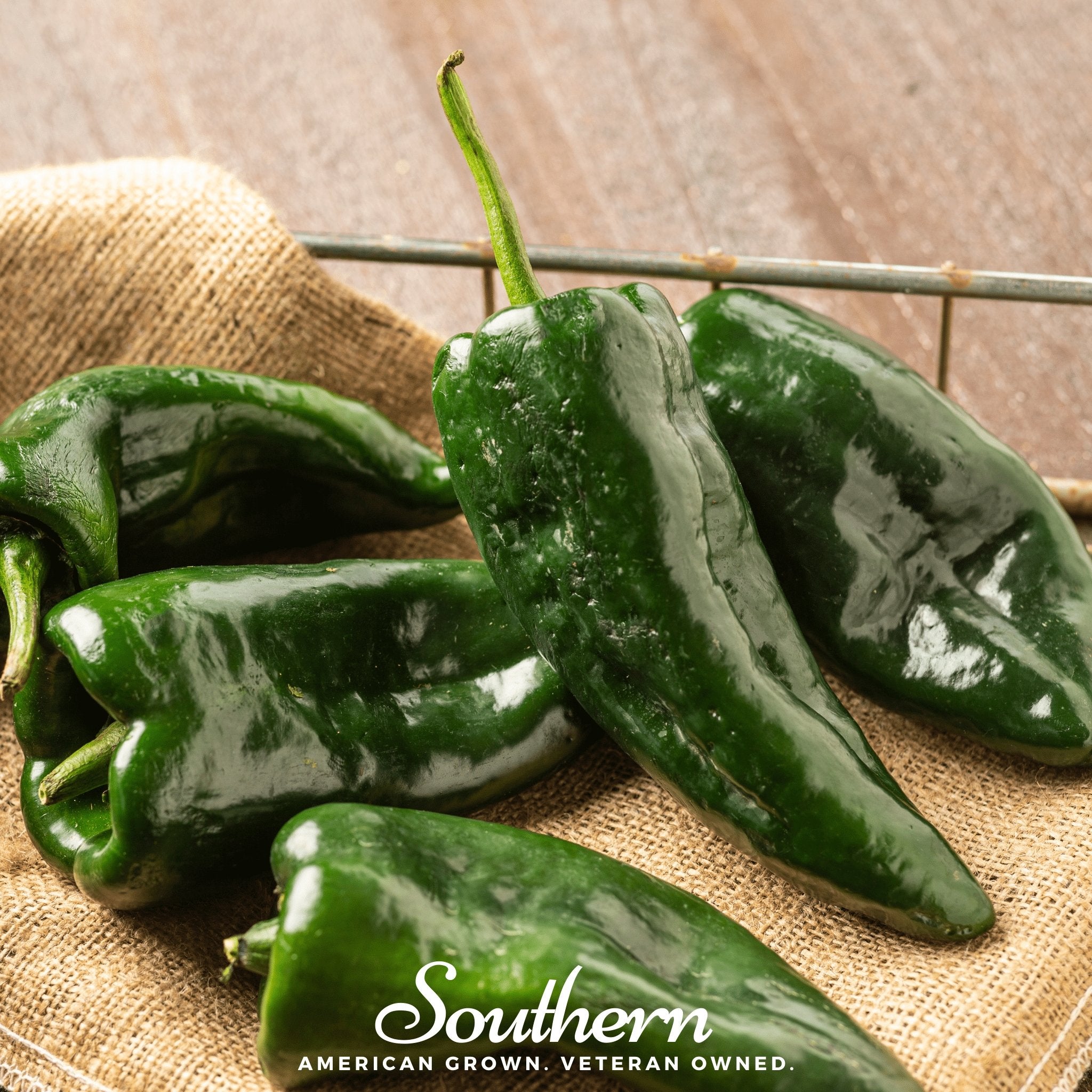 Poblano Ancho Grande Pepper – 25 Seeds Southern Seeds
