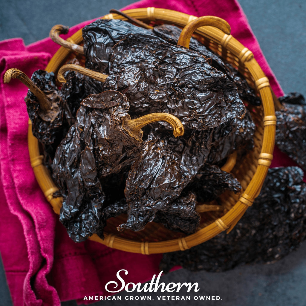 Poblano Ancho Grande Pepper – 25 Seeds Southern Seeds