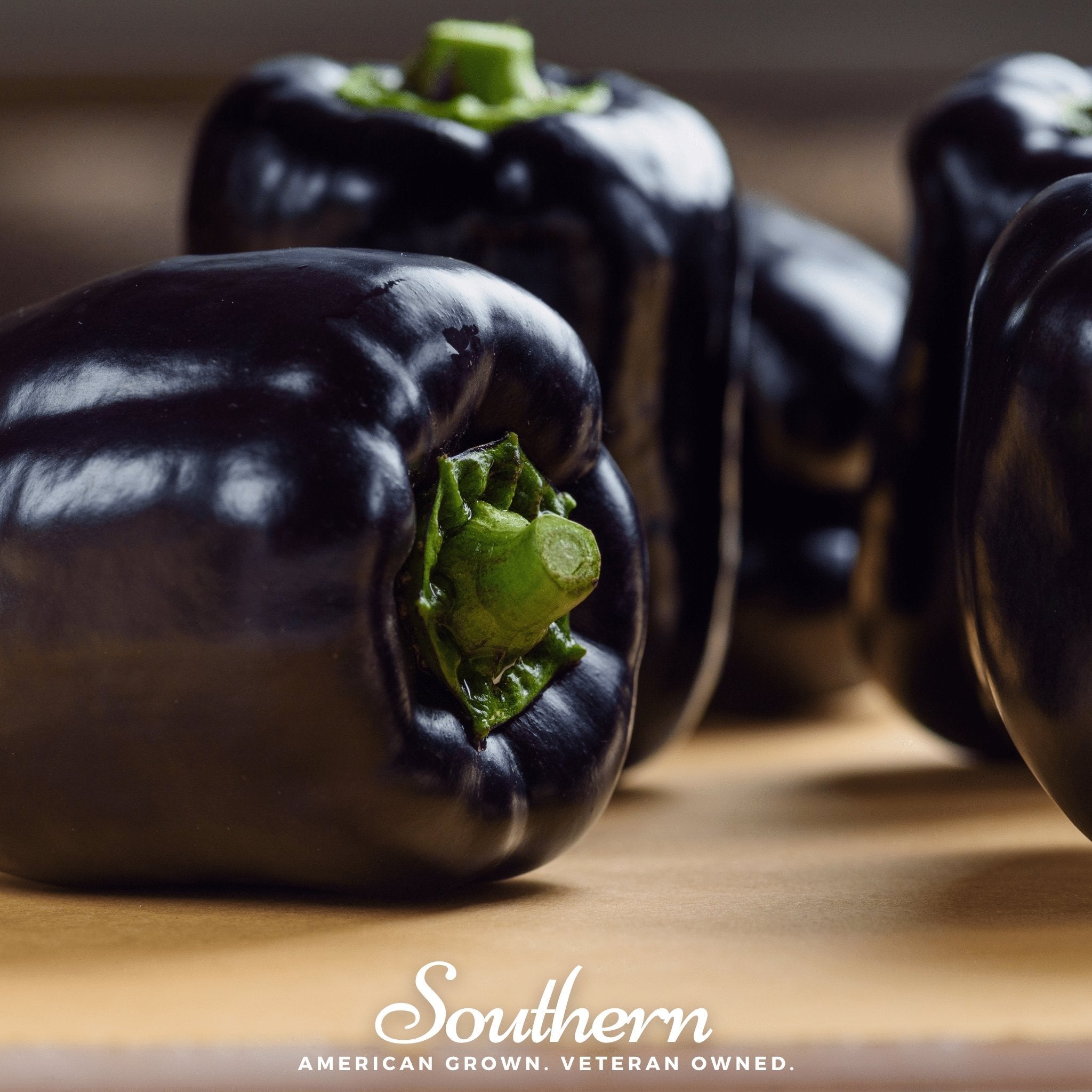 Purple Beauty Sweet Pepper – 30 Seeds Southern Seeds