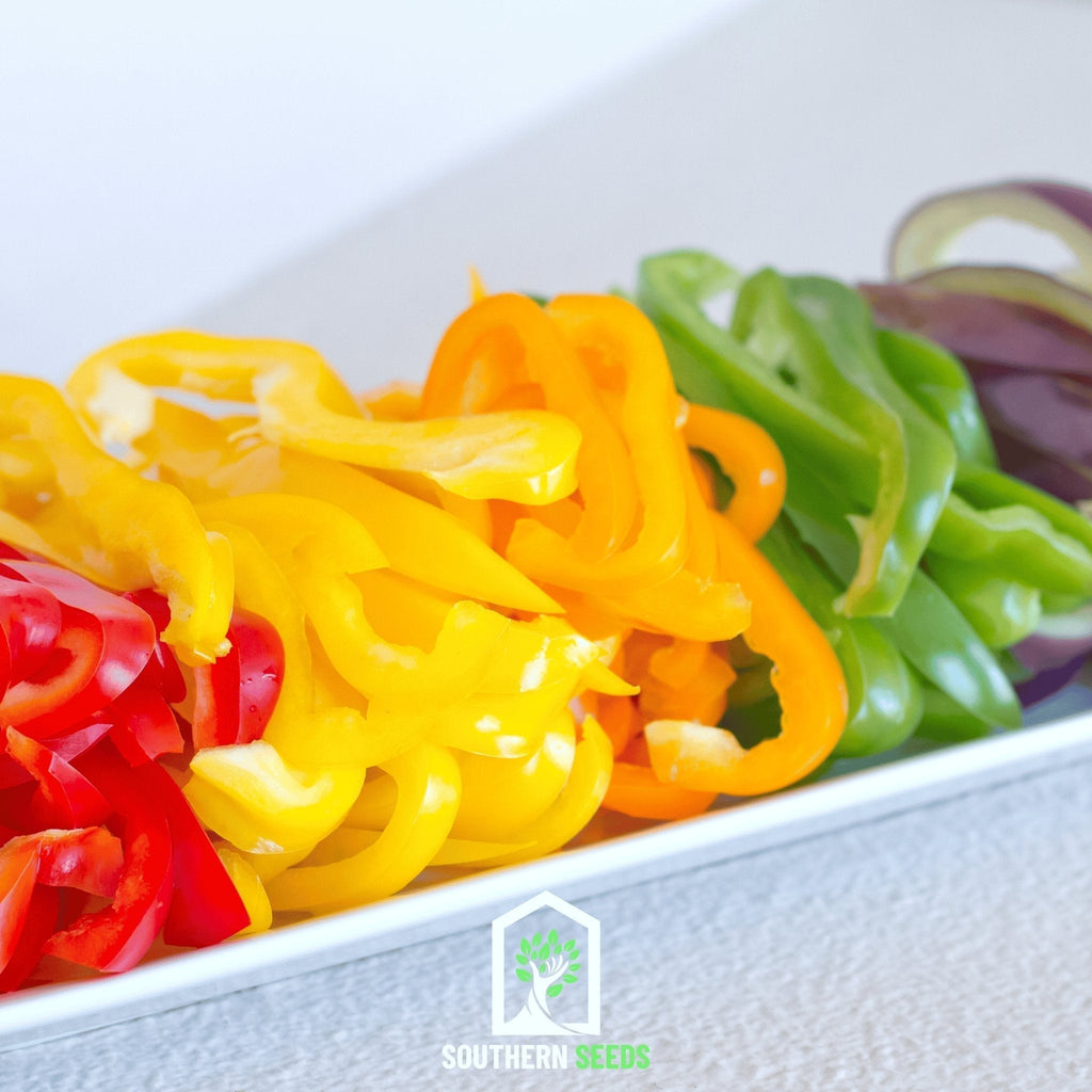Rainbow Bell Sweet Pepper – 25 Seeds Southern Seeds