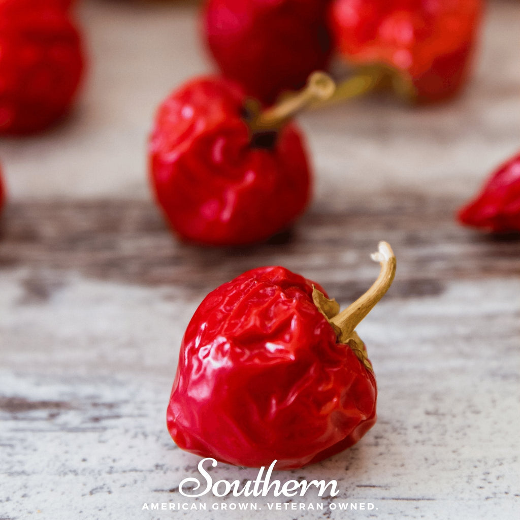 Red Hot Cherry Pepper – 25 Seeds Southern Seeds