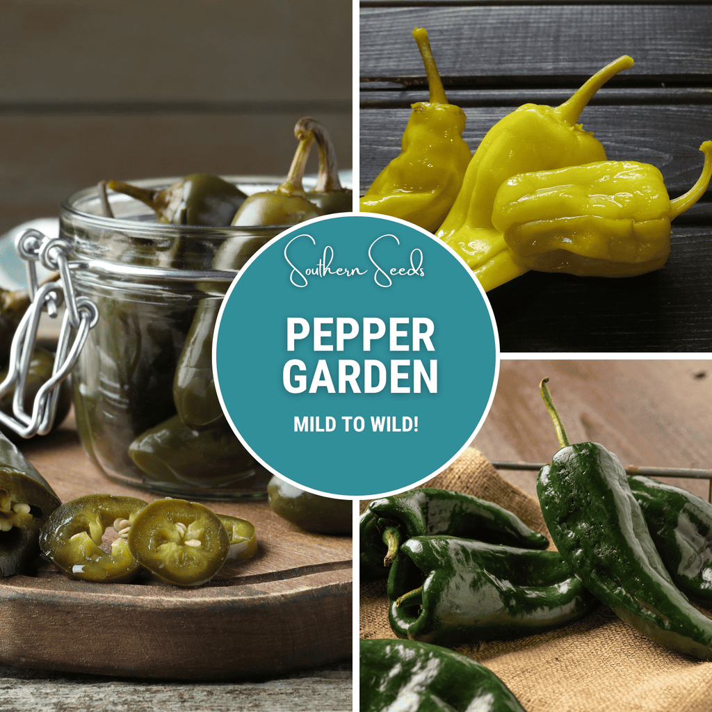 Pepper Seed Collection – 6 Essential Heirloom Peppers Southern Seeds