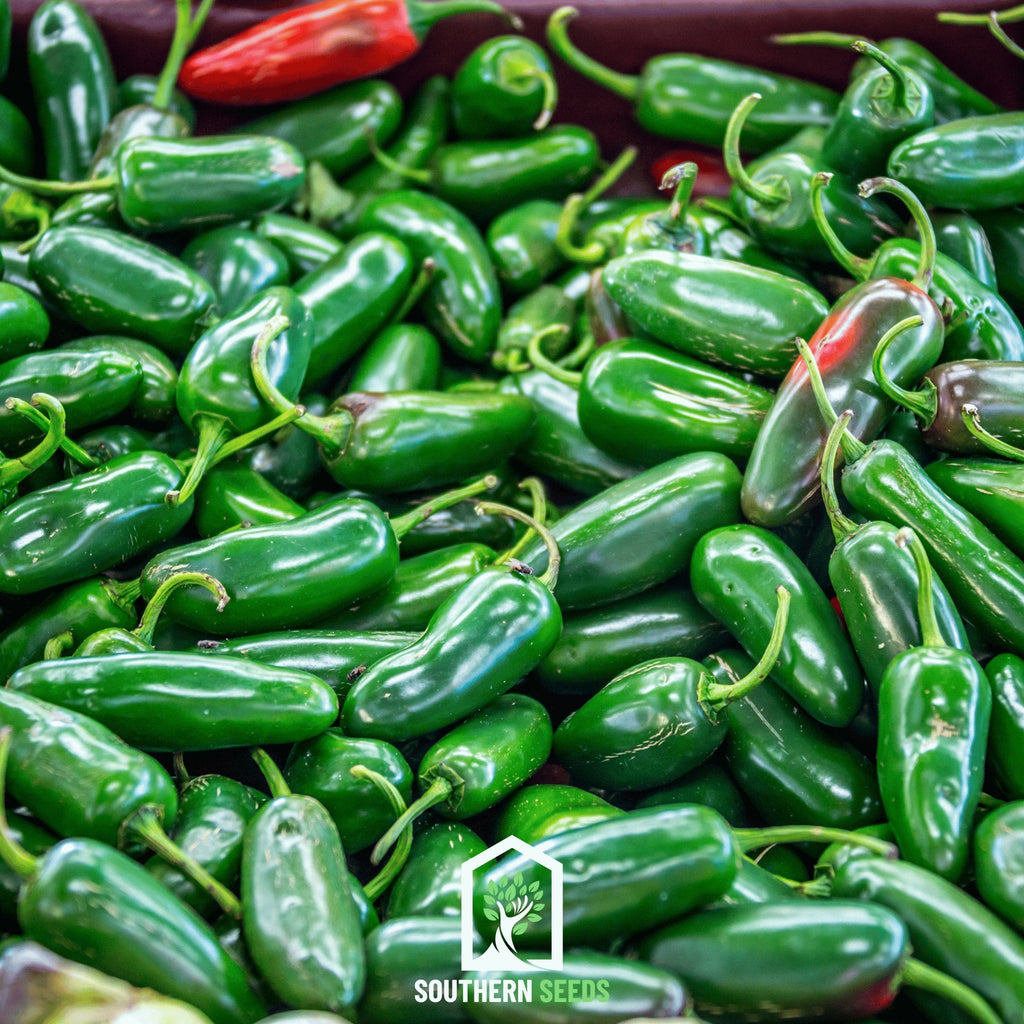 Pepper Seed Collection – 6 Essential Heirloom Peppers Southern Seeds