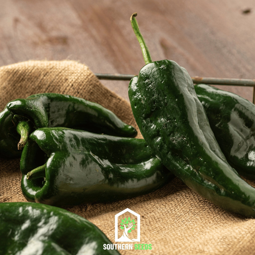 Pepper Seed Collection – 6 Essential Heirloom Peppers Southern Seeds