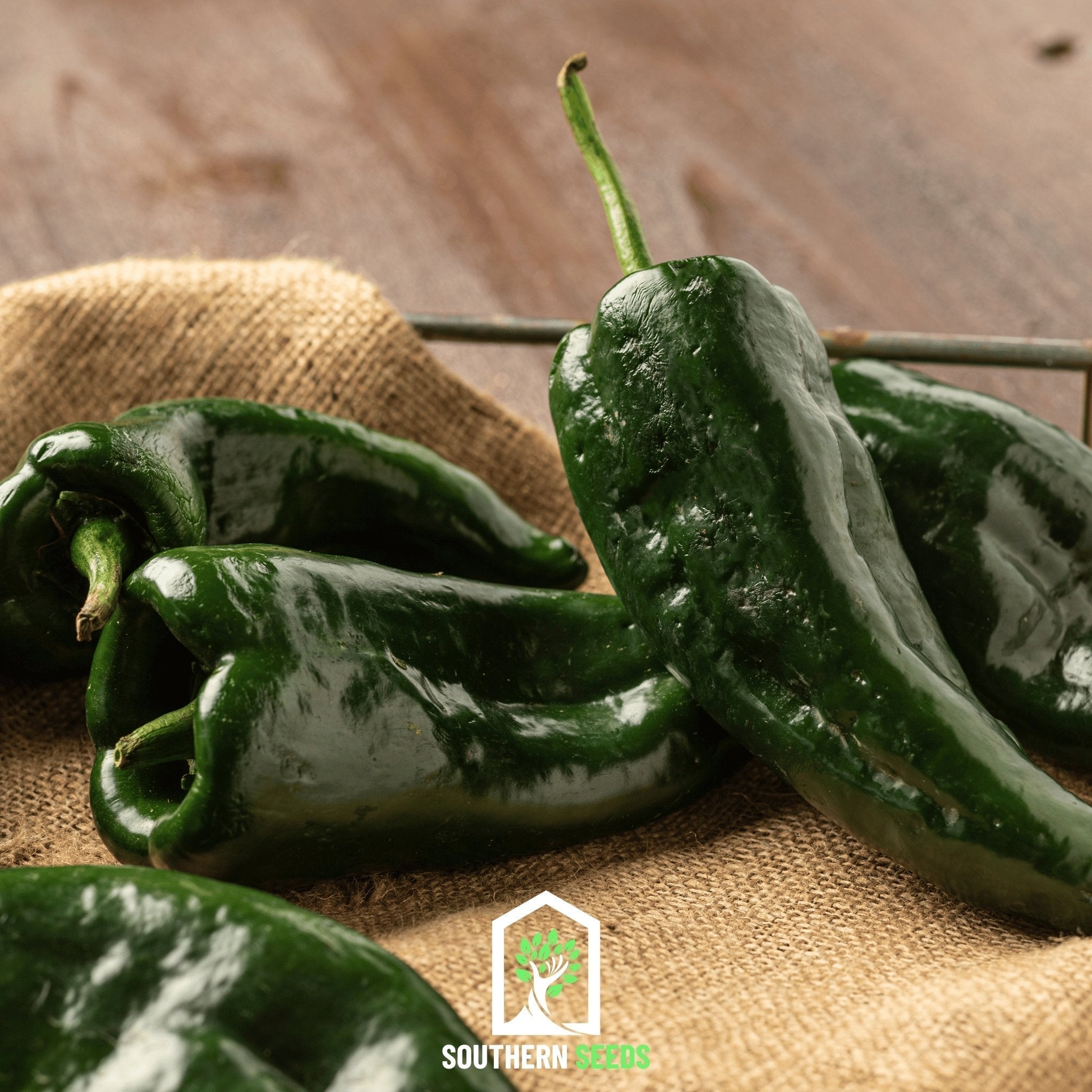 Pepper Seed Collection – 6 Essential Heirloom Peppers Southern Seeds