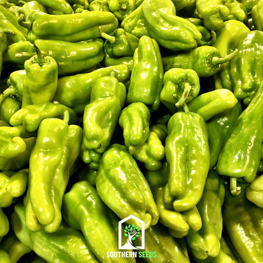Pepper Seed Collection – 6 Essential Heirloom Peppers Southern Seeds