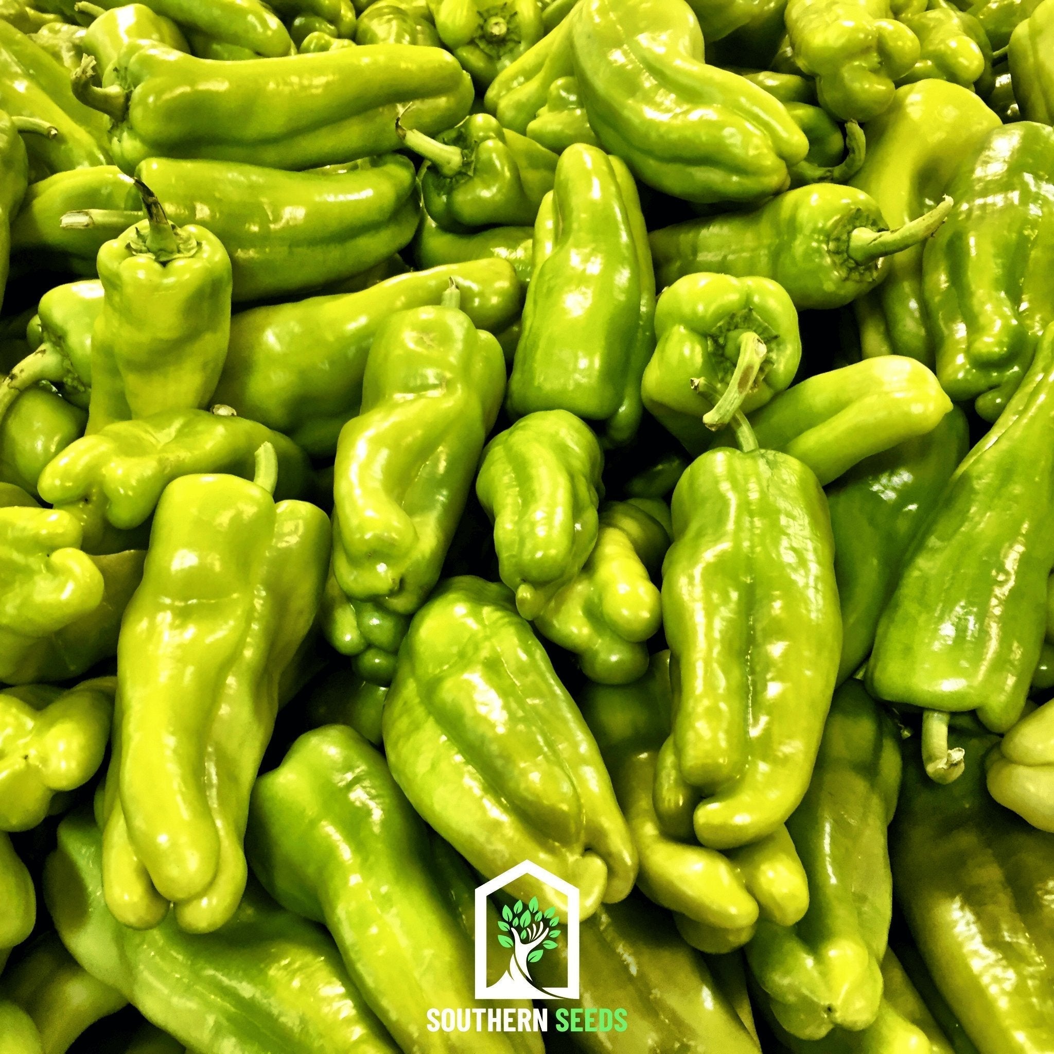 Pepper Seed Collection – 6 Essential Heirloom Peppers Southern Seeds