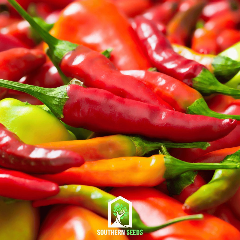 Pepper Seed Collection – 6 Essential Heirloom Peppers Southern Seeds