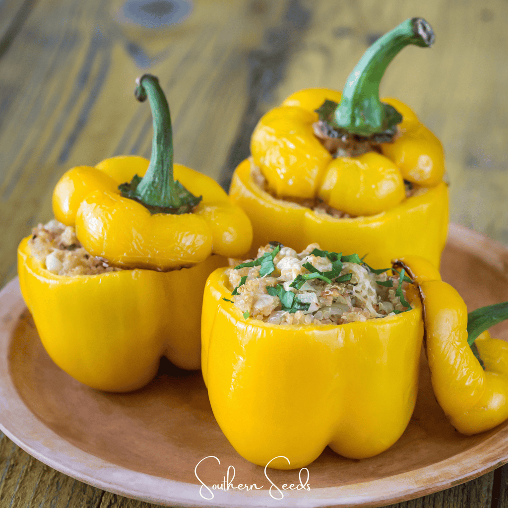 Sunbright Bell Pepper – 30 Seeds Southern Seeds