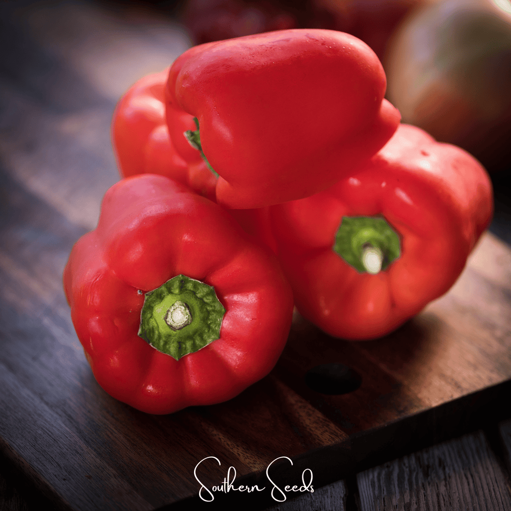 Yolo Wonder Bell Pepper – 30 Seeds Southern Seeds