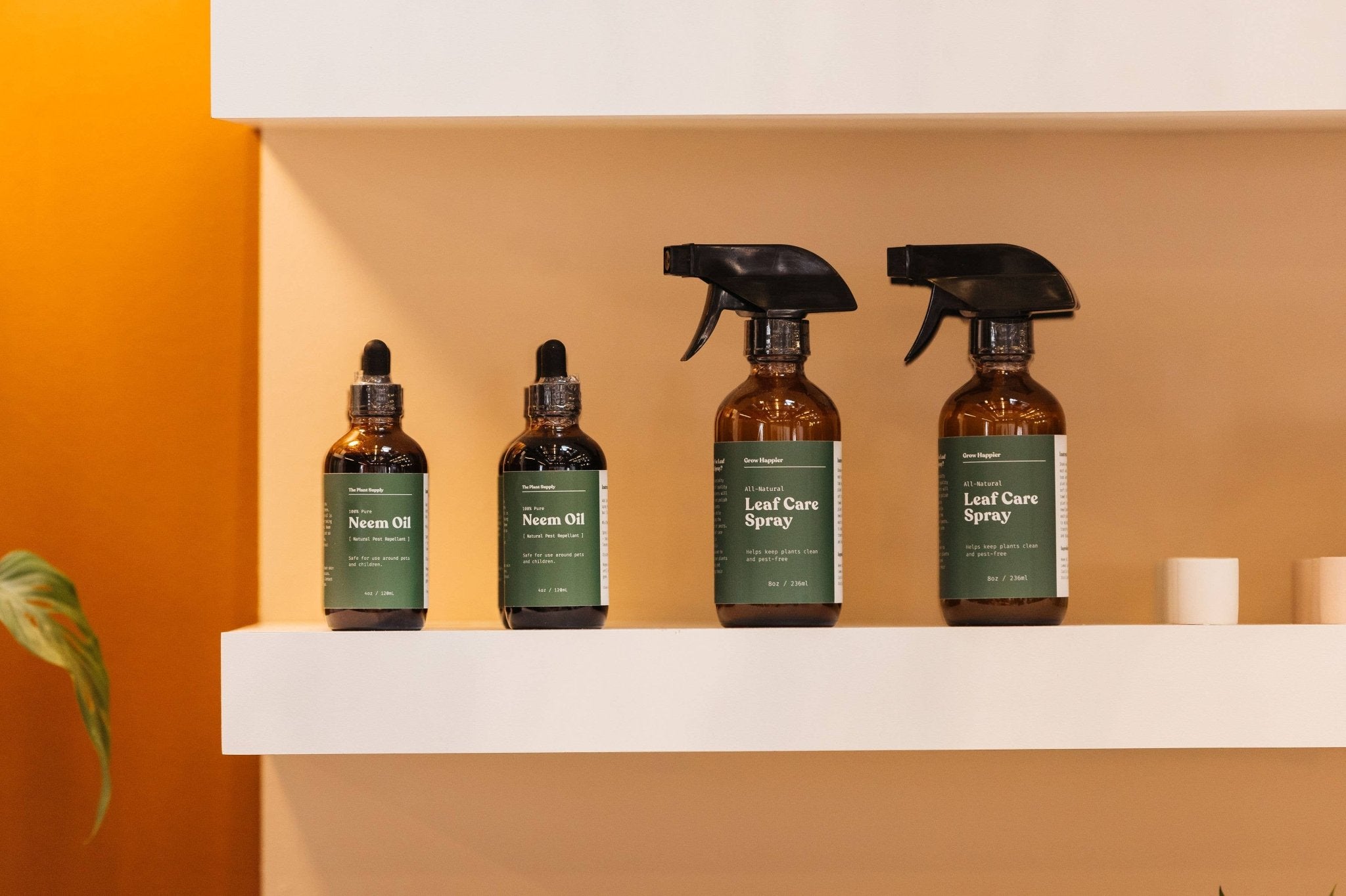 Plant Leaf Care Spray - 8oz Southern Seeds