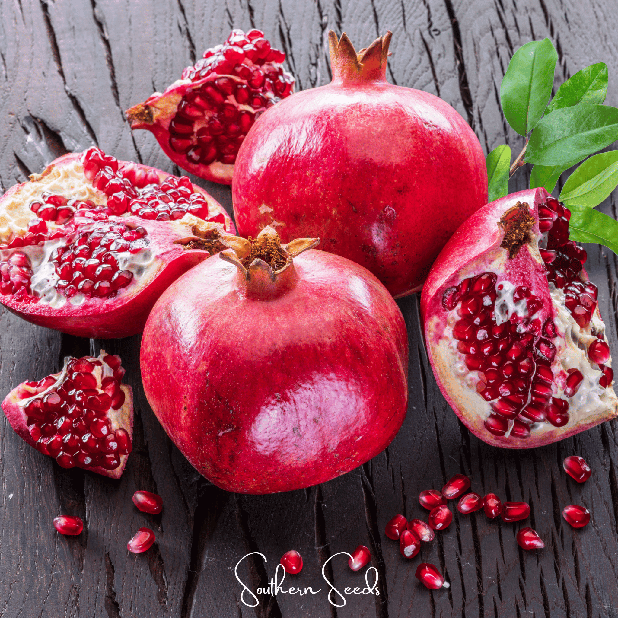 Pomegranate – 20 Seeds Southern Seeds