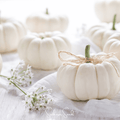 Gooligan Pumpkin – 10 Seeds Southern Seeds